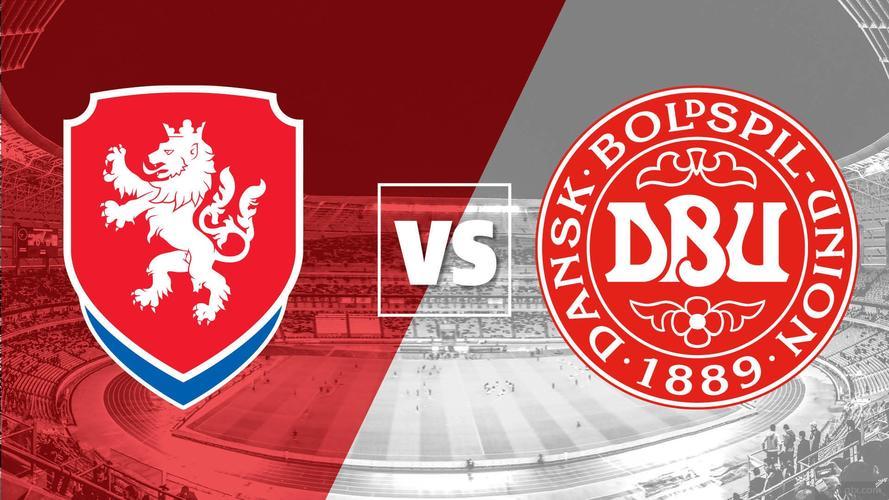 aoa体育直播-丹麦队一路高歌晋级